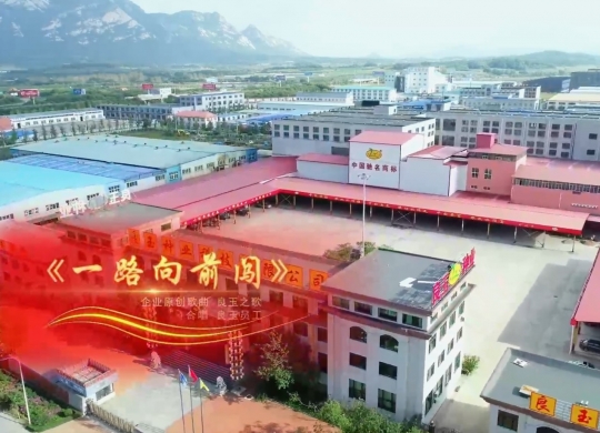 2023丹东良玉种业之歌