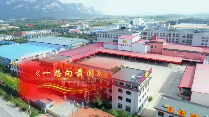 2023丹东良玉种业之歌